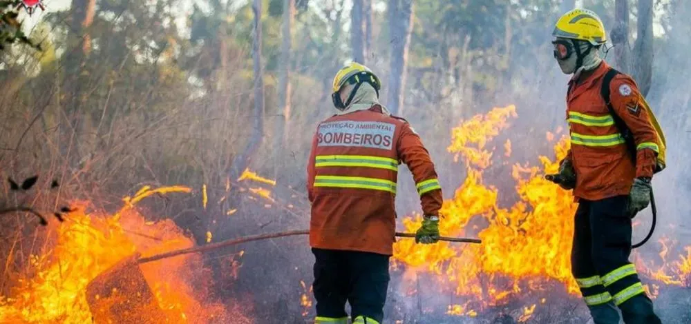 Foto: Divulgação/DF