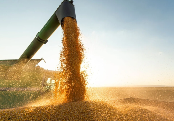 Foto: Ministério da Agricultura/Divulgação 