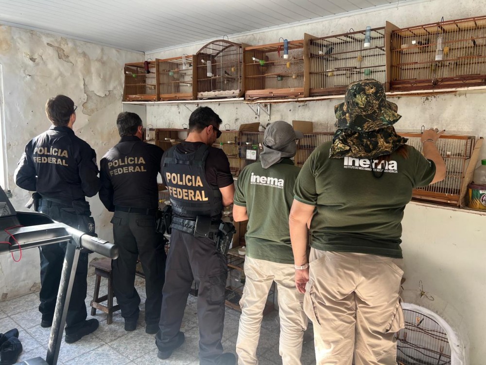 Divulgação: Ascom PF.