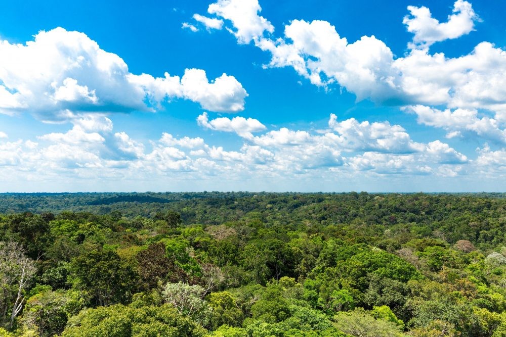 Foto: Filipe Frazao / Shutterstock.com