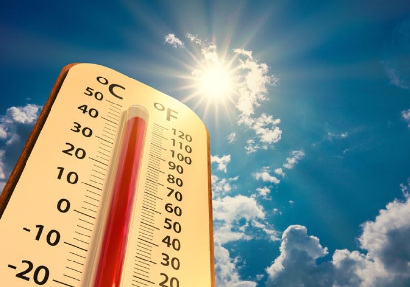 Foto: Getty Images/iStockphoto 