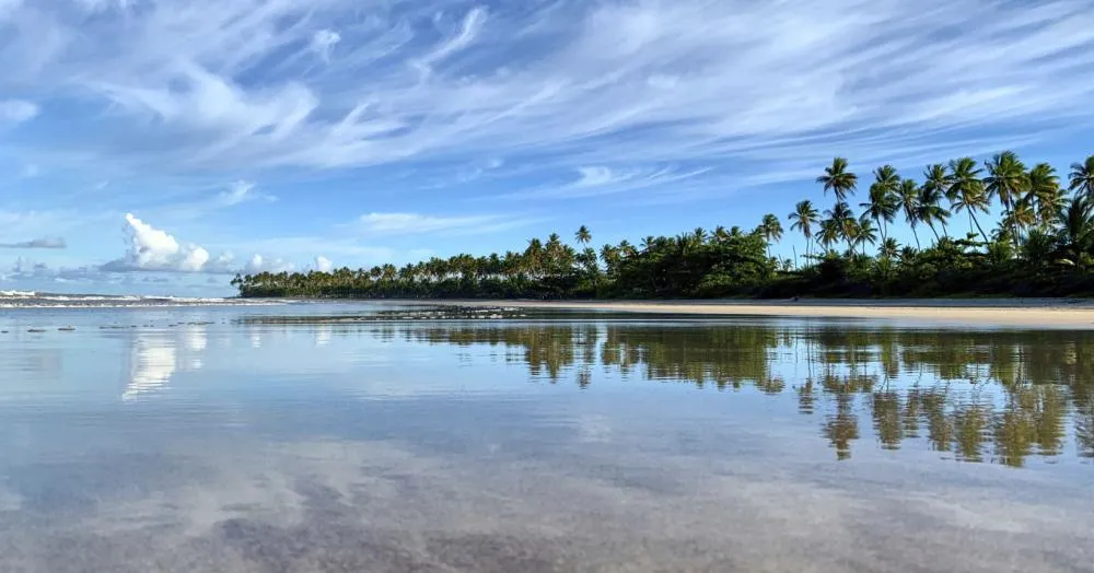 Praia de Boipeba - Reprodução