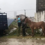 Flagrado pelas câmeras: homem furta farmácia no bairro Cidade Nova em Feira de Santana