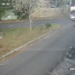 Eles torcerão sempre contra, para o pior acontecer