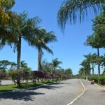 Mais de 50% dos casos de câncer de próstata no SUS são diagnosticados em estágio avançado