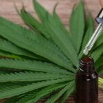 INSS autorizou bilhões em empréstimos consignados feitos em nome de crianças