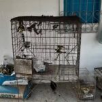 Após perder 74 quilos, Thais Carla vibra ao entrar no tobogã em parque aquático