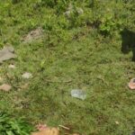 Homem mantém irmão em cárcere privado e pede R$ 5 mil para liberá-lo