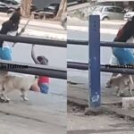 Superintendente esclarece demora em conclusão de obra no pavimento da praça de alimentação da Av. Getúlio Vargas