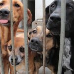 Cartorária de Feira de Santana é afastada pelo TJBA por suspeita de fraudes em registros de imóveis