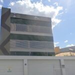 MPF apura venda de incineração como cremação de pets, em Salvador