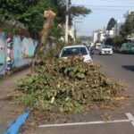 Flamengo e Palmeiras terão jogos simultâneos nas últimas rodadas do Brasileirão