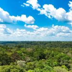 Após denúncia do Conectado News, PM e órgãos municipais realizam operação conjunta no entorno do Terminal Rodoviário de Feira de Santana