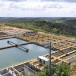 Aluna é presa após discutir com pessoa não binária em banheiro feminino da UnB