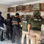 Novembro Azul: campanha de prevenção ao câncer de próstata tem abertura nesta terça (4)