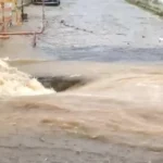 “Ainda há uma resistência por preconceito e machismo”, diz enfermeira chefe do CMPC sobre o câncer de próstata