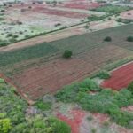 PM acusado de ter matado mulher é absolvido pela justiça