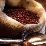 Violência digital atinge 8,8 milhões de brasileiras em um ano, aponta levantamento