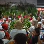 Após 20 anos sem registros, caso de raiva em cachorro acende alerta em Salvador