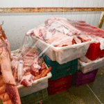 Tempo de espera na fila da regulação triplicou nos últimos 5 anos na Bahia, diz TCE