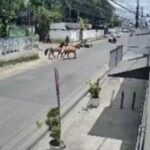 Operação Cumpre Mandados em Cinco Cidades e Prende Líder de Esquema em Feira de Santana