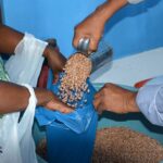 Saiba o que o prefeito de Feira de Santana foi fazer em encontro com o governador em Salvador