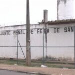 Justiça condena sete integrantes da maior rede de tráfico de aves do país à prisão