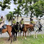 CRECI alerta para riscos no mercado imobiliário e cobra denúncias após sucessivos casos de fraudes em Feira de Santana