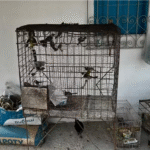 Sindicombustíveis elege nova diretoria