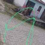 Água do Rio Paraguaçu chega em municípios do semiárido baiano