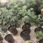 PMBA intensifica Operação Paz no Trânsito em Feira de Santana