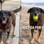 Polícia apreende arma e drogas em Feira de Santana