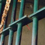 Mega-Sena sorteia prêmio acumulado de R$ 115 milhões neste sábado (31)