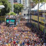 Cidade baiana registra caso de raiva após morte de gato; saiba como se prevenir