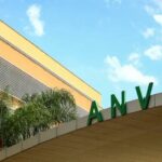 Ivete Sangalo vence título de Música do Carnaval 2026 com ‘Vampirinha’