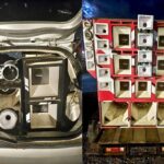 Desaparecida há dois dias, menina de 4 anos é encontrada com vida em área de mata