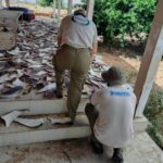 Secretária de Educação destaca valorização da cultura afro e transmissão do Carnaval pela TVE