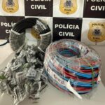 PM e PF apreendem 1 tonelada de maconha em fazenda na Chapada Diamantina