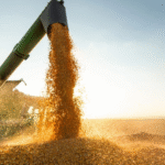 Receita Federal apreende R$ 50 mil em mercadorias falsificadas no interior da Bahia