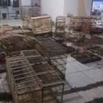 Prefeitura veta paredões e restringe garrafas de vidro durante o carnaval