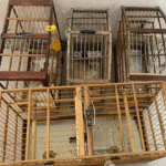 Lula lidera todos os cenários de 2º turno em 2026; veja números