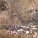 Desaparecida há dois dias, menina de 4 anos é encontrada com vida em área de mata