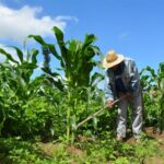 Seduc promove ação inédita e reforça valorização das mulheres na gestão pública