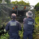 Pesquisa aponta divisão entre baianos sobre governo Jerônimo Rodrigues