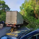 Remédios no carrinho: nova lei reacende debate sobre venda de medicamentos em supermercados