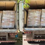 Semana Municipal da Água é aberta com ações no rio Jacuípe