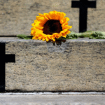 Brasil supera meta de alfabetização infantil com 66% das crianças na idade certa