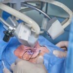 Saiba o nome dos deputados baianos que estão na lista de contatos de Daniel Vorcaro, do Banco Master