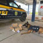 Suspeitos são conduzidos por tráfico de drogas em duas ações da PM em Feira de Santana