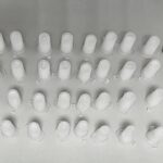 PF combate organização criminosa de tráfico de animais silvestres